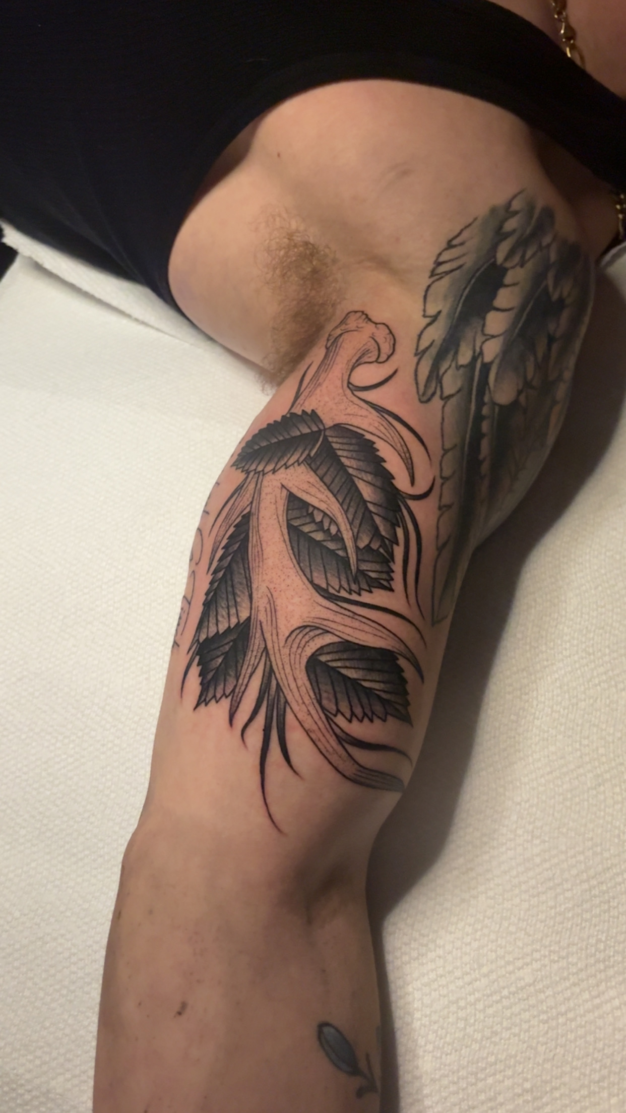 Chris Prince portfolio 3