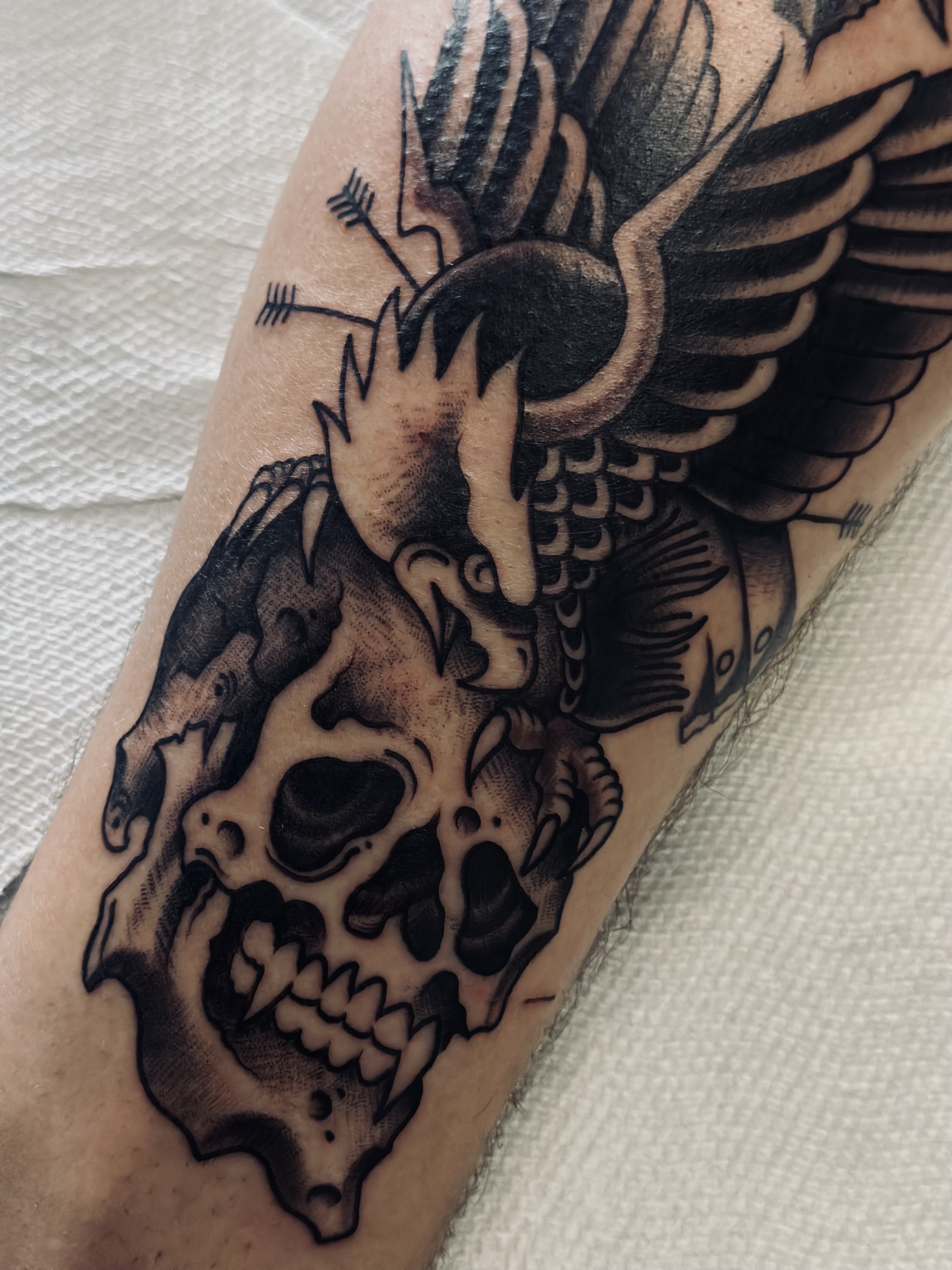 Dallas Proffitt portfolio 2