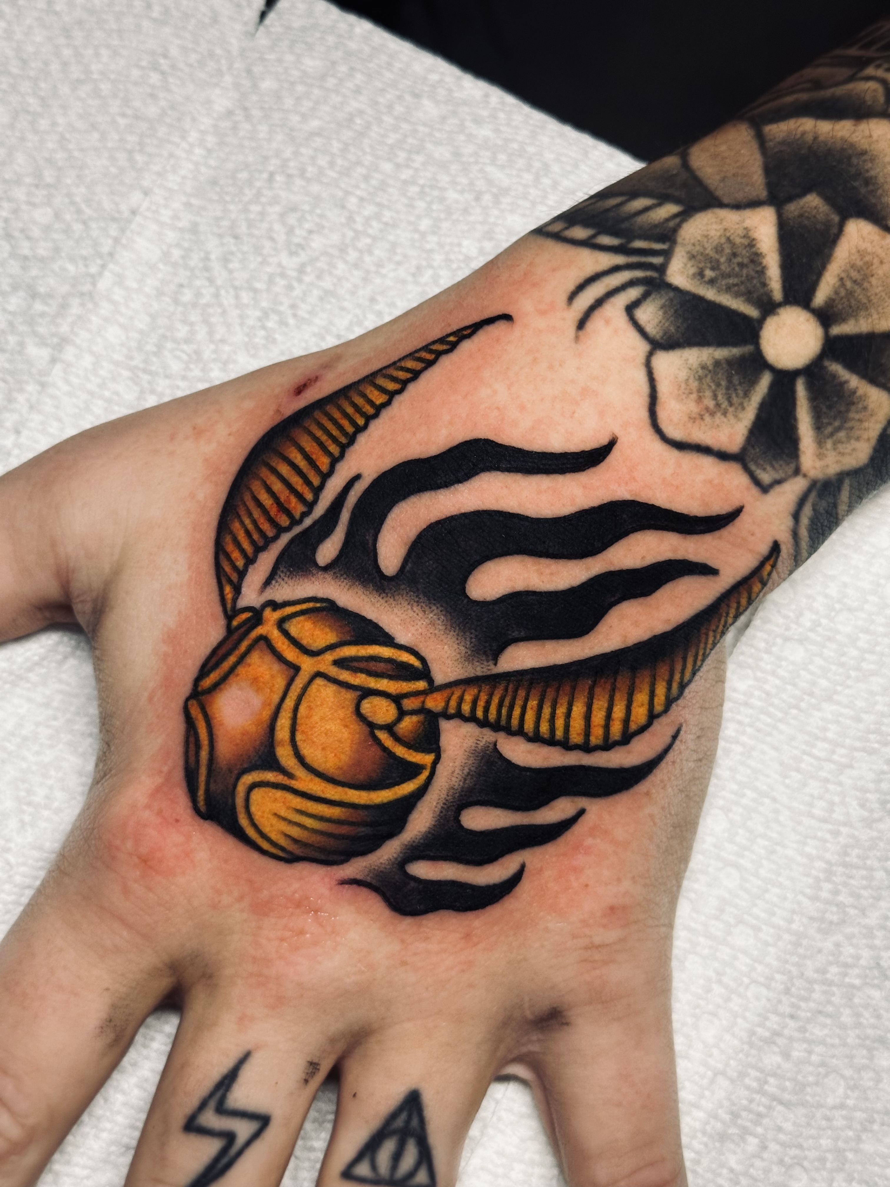 Dallas Proffitt portfolio 6